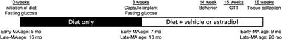 Aging Reduces Estradiol Protection Against Neural but Not Metabolic Effects of Obesity in Female <mark class="highlighted">3xTg-AD Mice</mark>